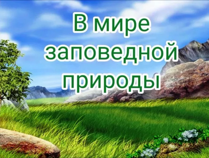 ф 14Мой фильм_Moment