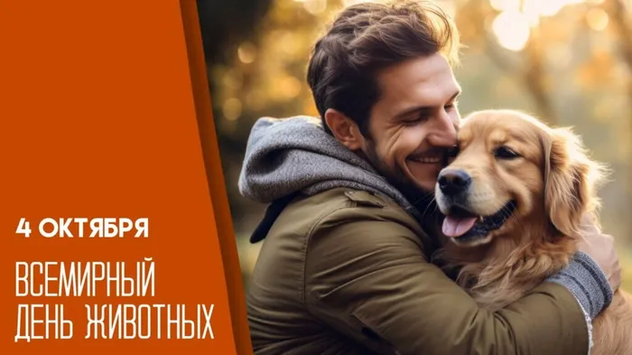 Скриншот 06-10-2026 144618