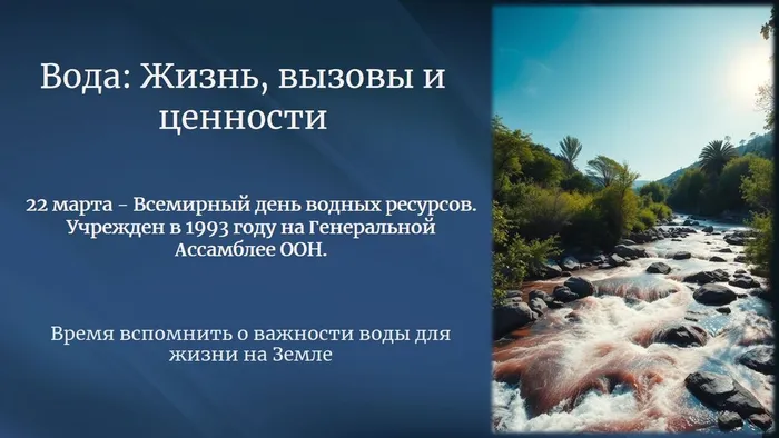 превью