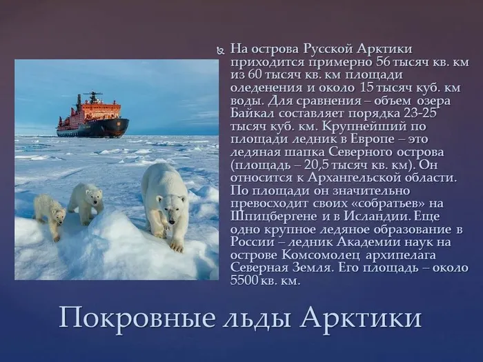 Слайд6