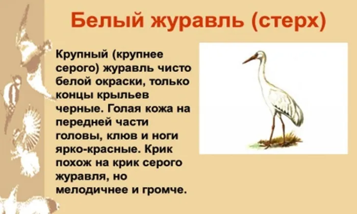 Безымянный