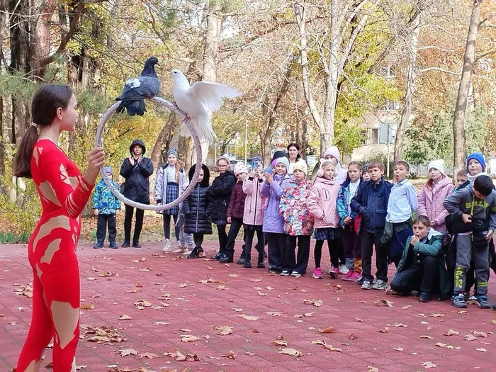 photo_2024-11-21_12-15-29