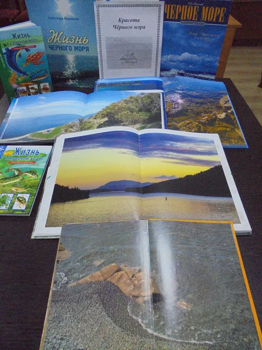 DSC01356