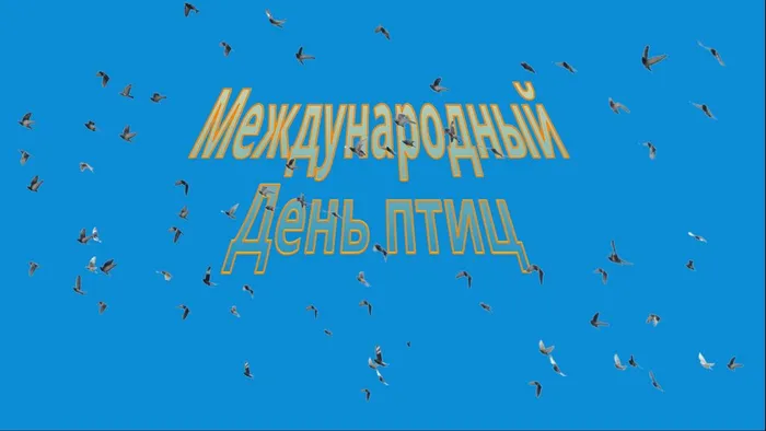 ф.3 Полна природа чудесами Превью