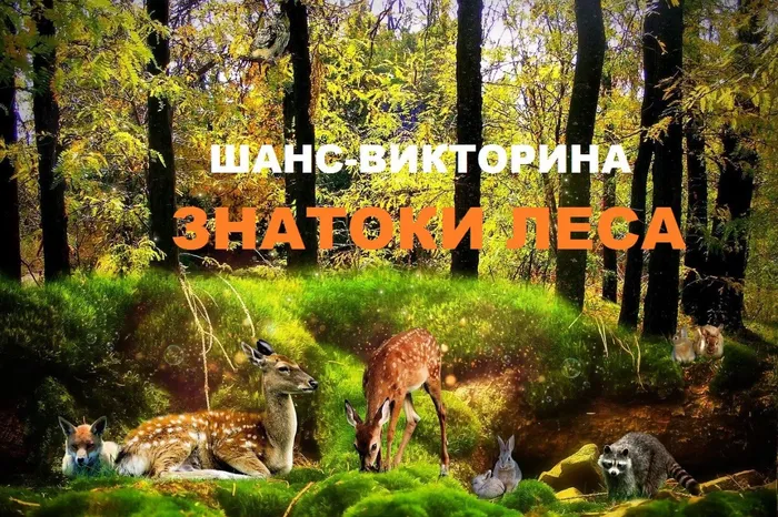 знатоки леса