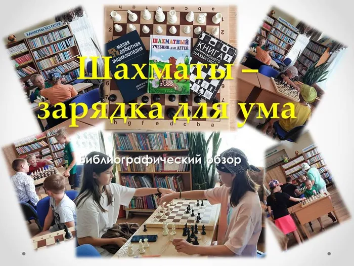 Шахматы –.jpg