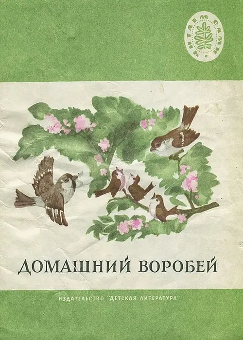 Скриншот 20-03-2026 112309