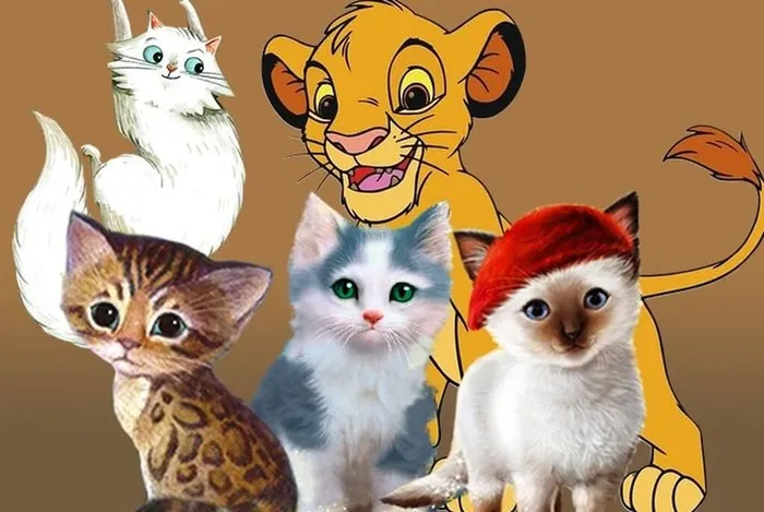 книги о кошках
