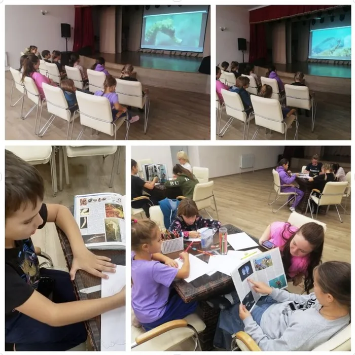 Скриншот 30-10-2024 104827
