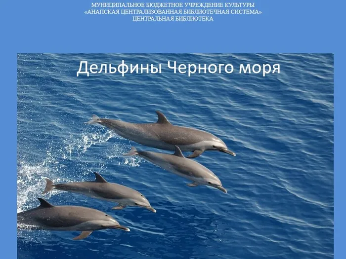 Слайд1
