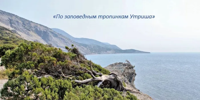 Скриншот 16-04-2025 120356