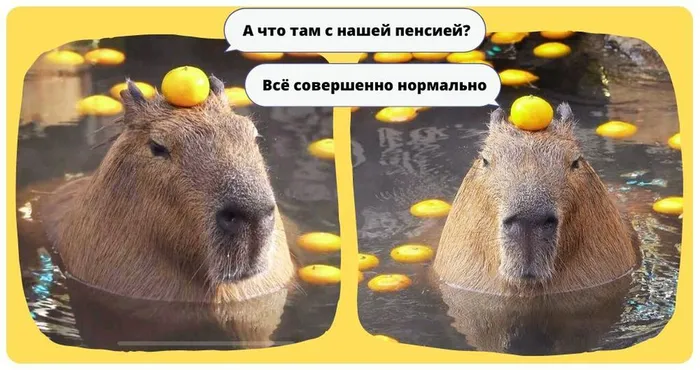 4ee02354-cd44-485c-87fb-6bdde50d12b3