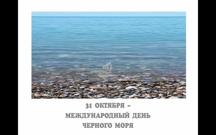 Ивановская сельская  библиотека -филиал№15 Экология Черного моря[2022-10-28-15-44-47]